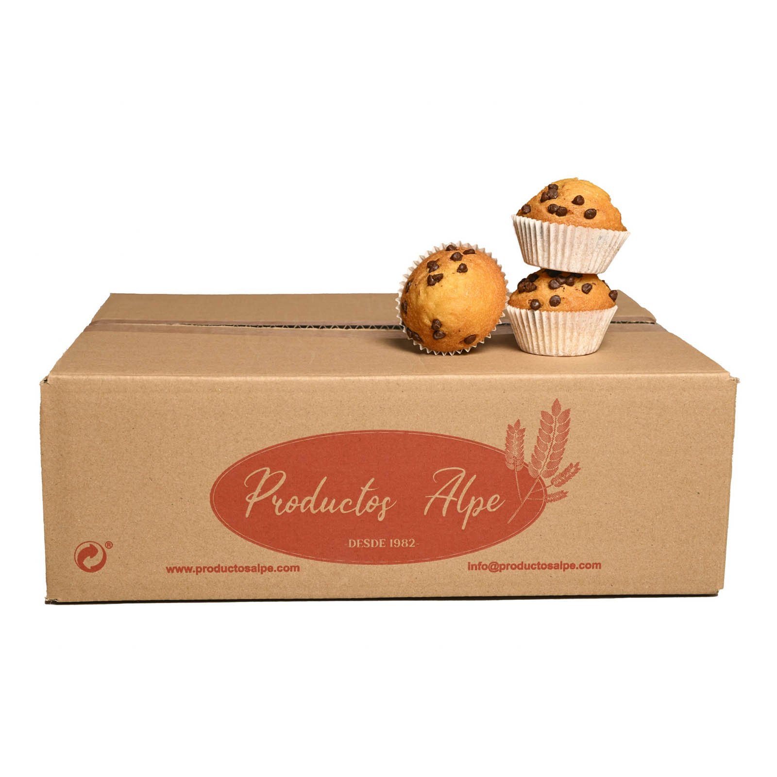 caja-magdalenas-chocolate-productos-alpe
